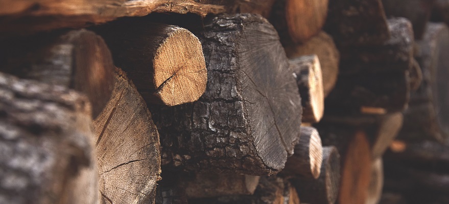 UPFBiH traži od Vijeća ministara BiH da se  novom odlukom opet zabrani izvoz ogrjevnog drveta  