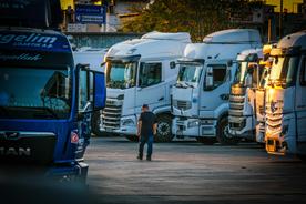 Employers are demanding urgent action from the authorities and a final resolution to the issue of work and residence of professional drivers within the European Union